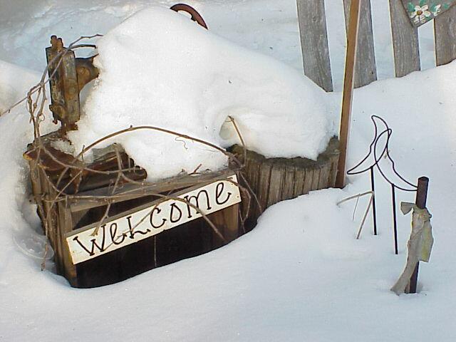 Snowy Welcome