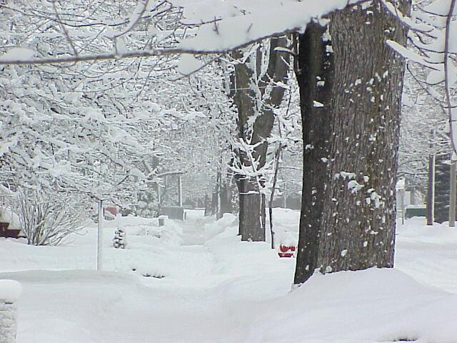 Snowy Sidewalk