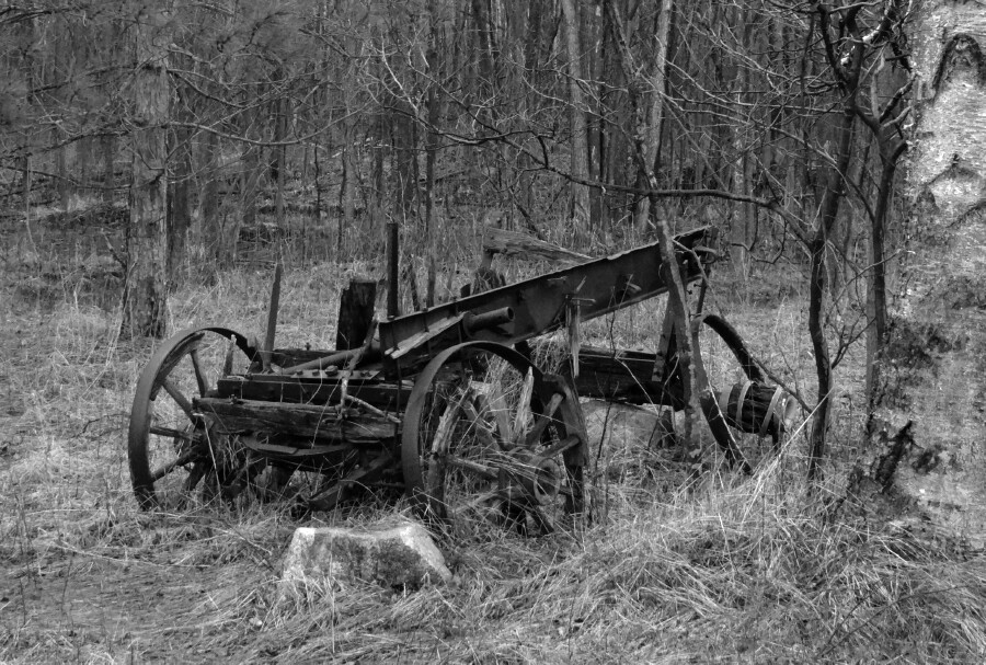 Abandoned Farm Equipment (bw)