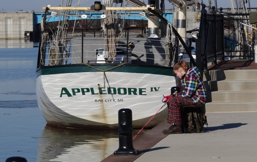 Appledore Fishing