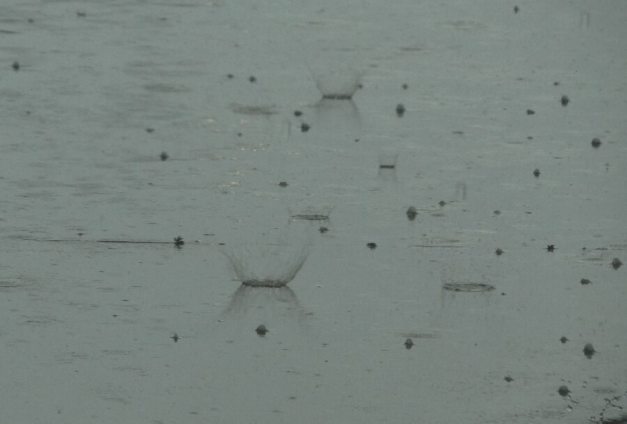 Marble size hail at Meijer's on Wilder Road