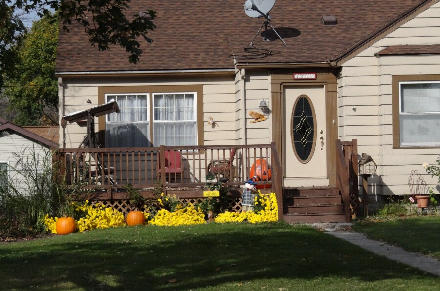 Pumpkins and Yellow Flowers