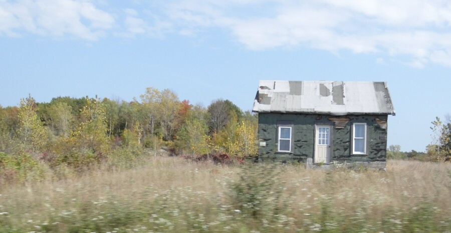 Roadside Shack