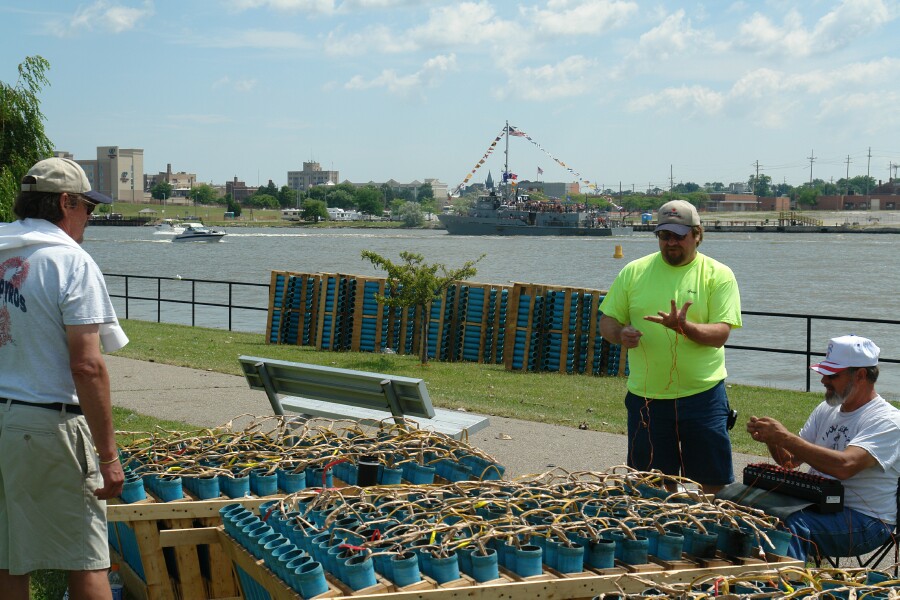 Polish Pyros with Gray Fox in background