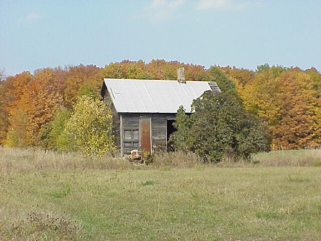 Abandoned Cabin