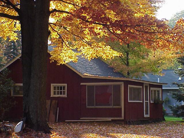 Afternoon Cabin