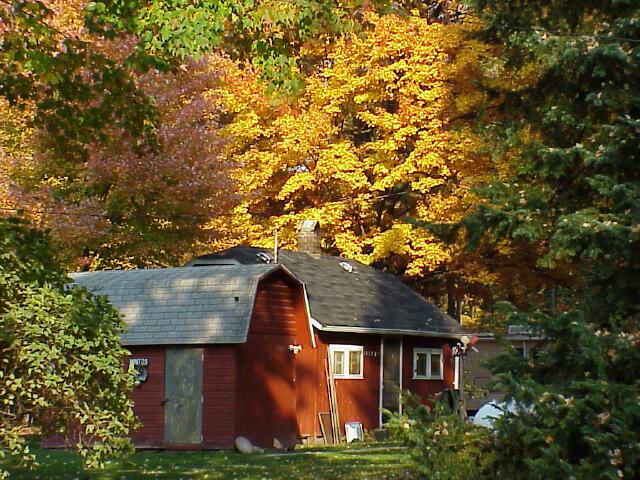 Afternoon Cabin 2