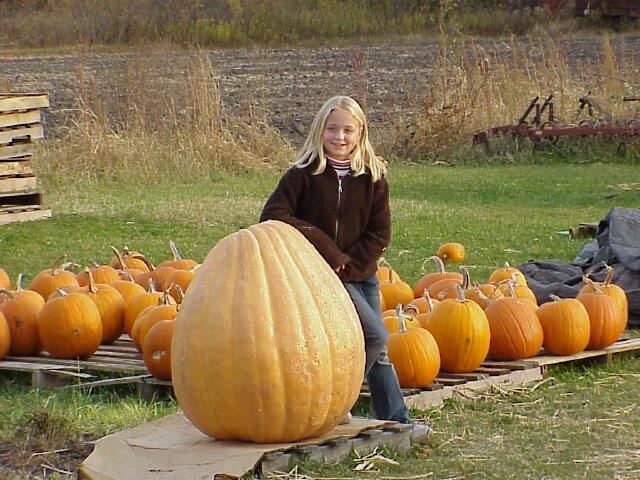 200 pound pumpkin