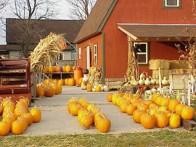 Berry Creek barn 1