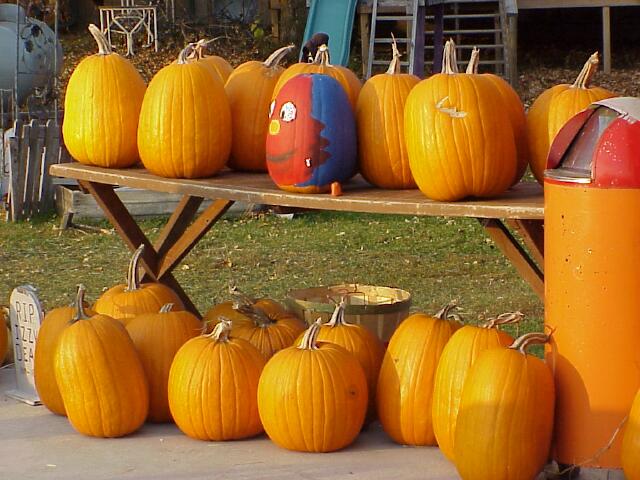 Halloween pumpkins