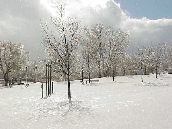 Riverwalk icy bench