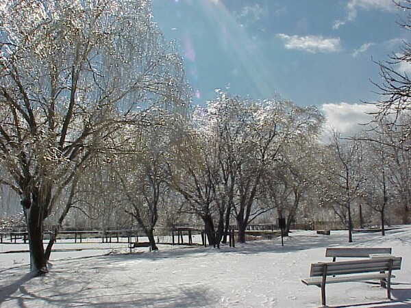 Riverwalk icy bench 2