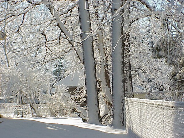 First snow 2004 - Fence line