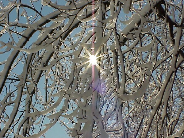 Sun sparkle - first snow 2004